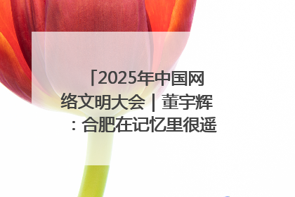 2025年中国网络文明大会｜董宇辉：合肥在记忆里很遥远也很亲切