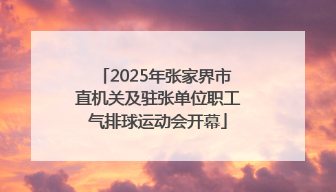 2025年张家界市直机关及驻张单位职工气排球运动会开幕