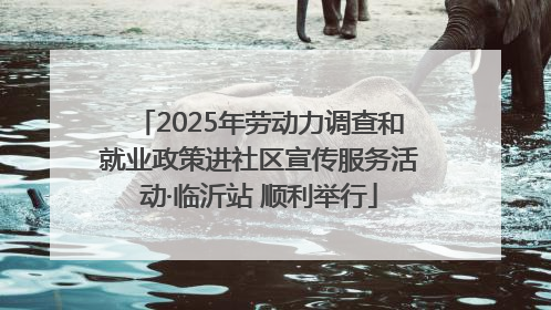 2025年劳动力调查和就业政策进社区宣传服务活动·临沂站 顺利举行