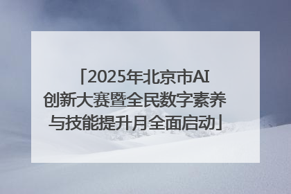2025年北京市AI创新大赛暨全民数字素养与技能提升月全面启动