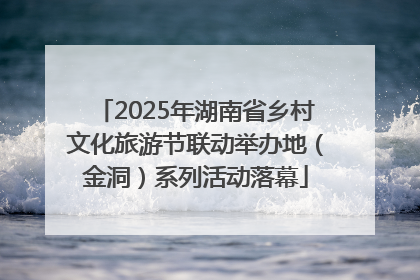 2025年湖南省乡村文化旅游节联动举办地（金洞）系列活动落幕