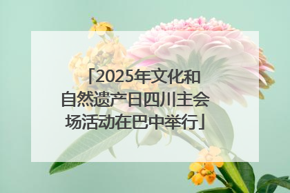 2025年文化和自然遗产日四川主会场活动在巴中举行
