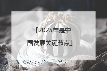2025年是中国发展关键节点