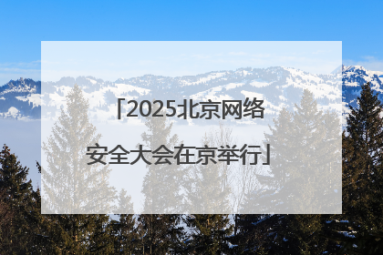 2025北京网络安全大会在京举行