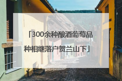 300余种酿酒葡萄品种相继落户贺兰山下