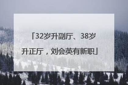 32岁升副厅、38岁升正厅，刘会英有新职