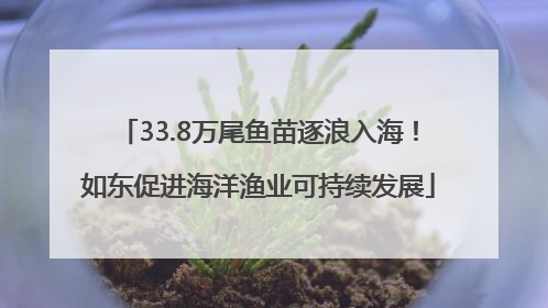 33.8万尾鱼苗逐浪入海！如东促进海洋渔业可持续发展