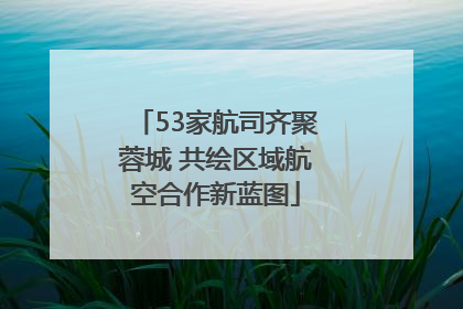 53家航司齐聚蓉城 共绘区域航空合作新蓝图