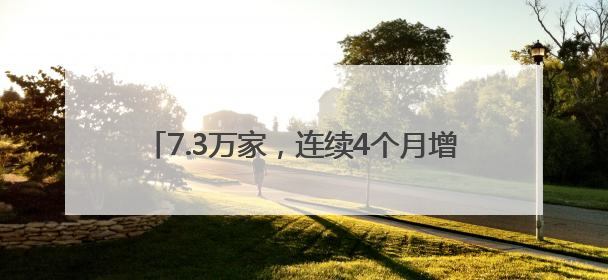 7.3万家，连续4个月增长！中国始终是外商理想、安全、有为的投资目的地