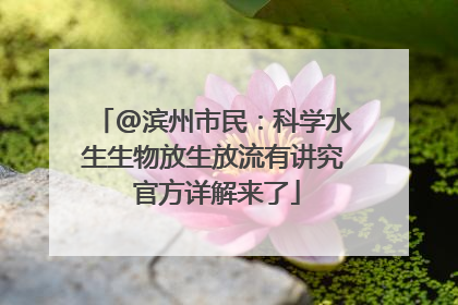 @滨州市民：科学水生生物放生放流有讲究 官方详解来了