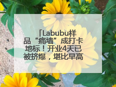Labubu样品“痛墙”成打卡地标！开业4天已被挤爆，堪比早高峰菜市场